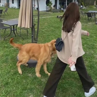 神女情贼